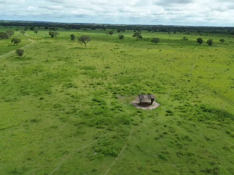 Fazenda em Juarina/Tocantins — Ref 779QDB — Imagem 16