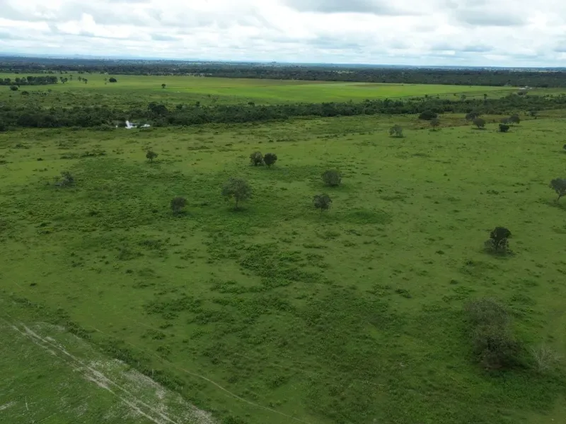 Fazenda em Juarina/Tocantins — Ref 779QDB — Imagem 17