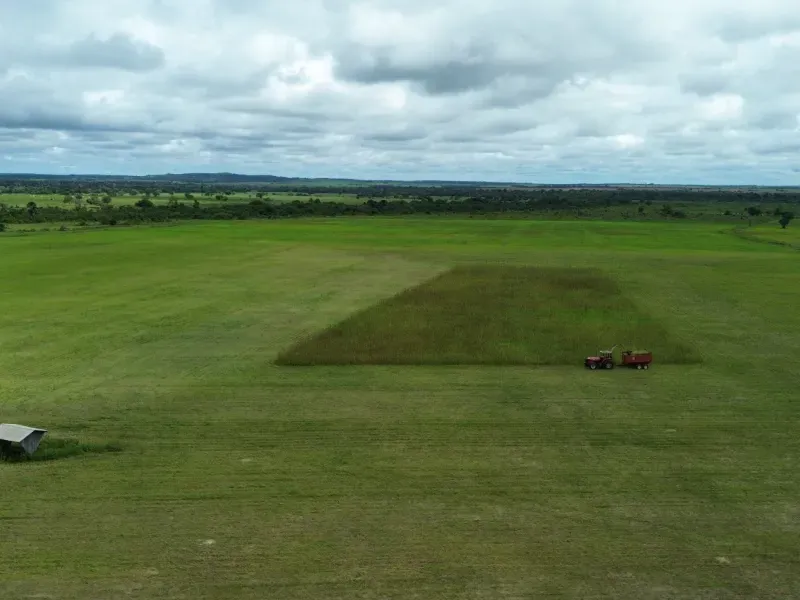 Fazenda em Juarina/Tocantins — Ref 779QDB — Imagem 15