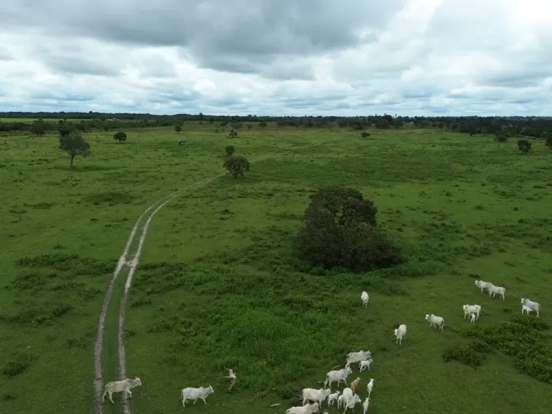 Fazenda em Juarina/Tocantins — Ref 779QDB — Imagem 23