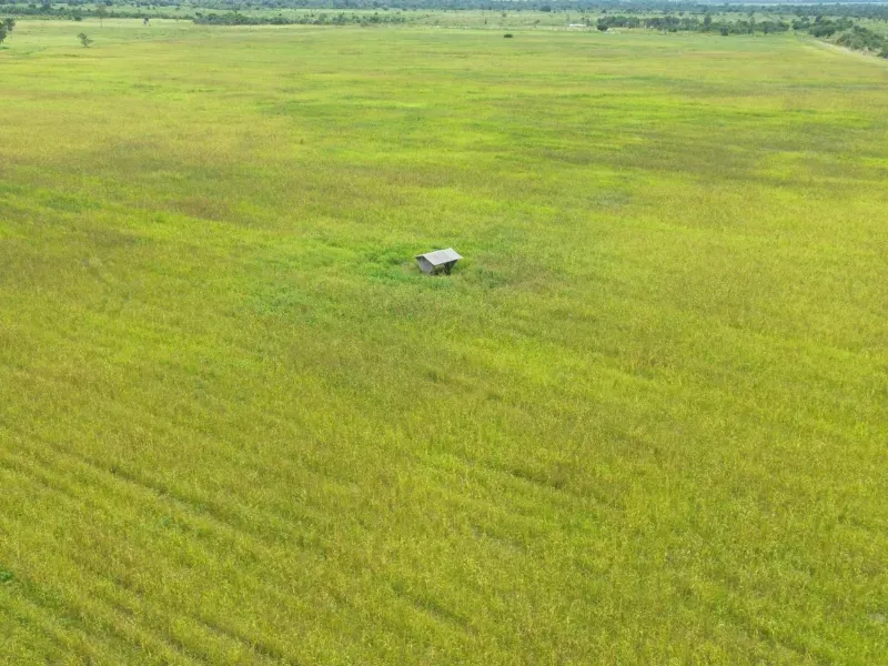 Fazenda em Juarina/Tocantins — Ref 779QDB — Imagem 19