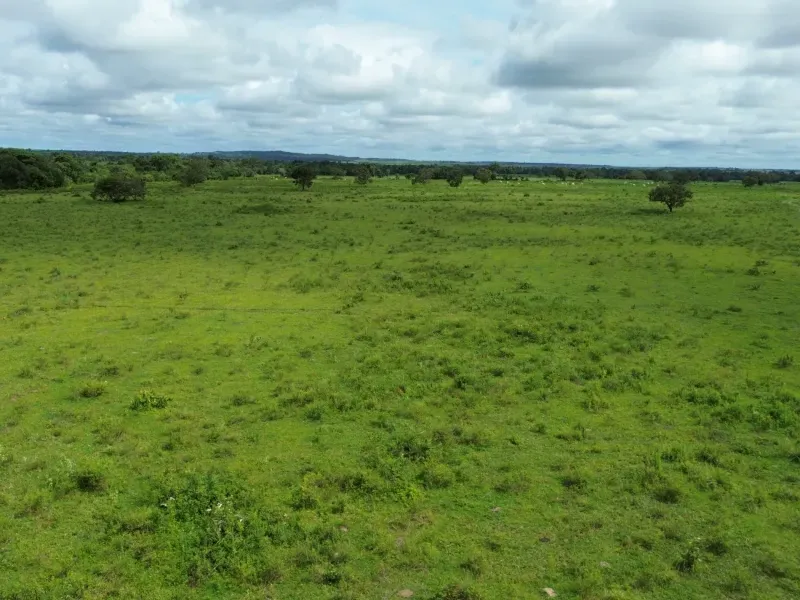 Fazenda em Juarina/Tocantins — Ref 779QDB — Imagem 13