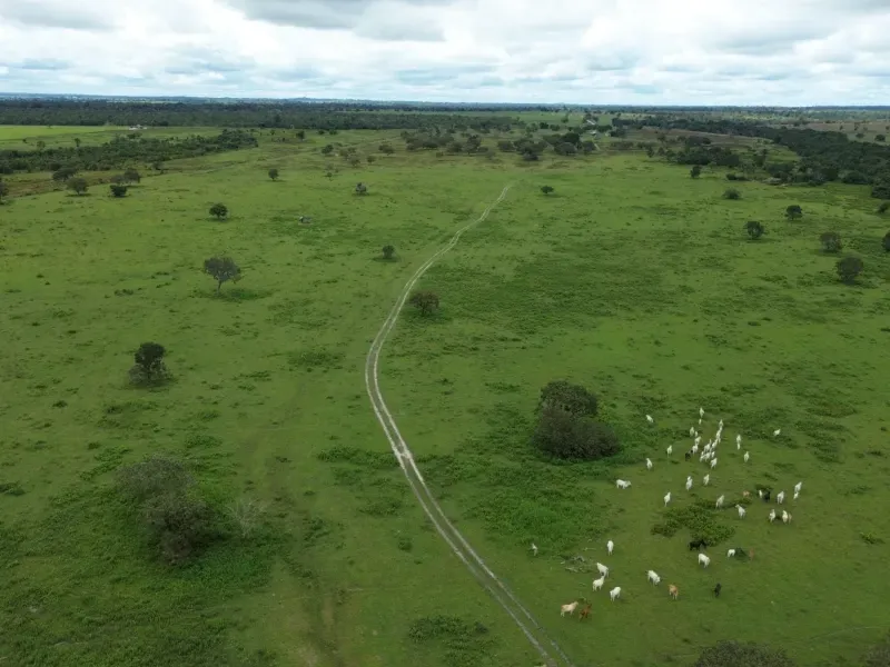 Fazenda em Juarina/Tocantins — Ref 779QDB — Imagem 21