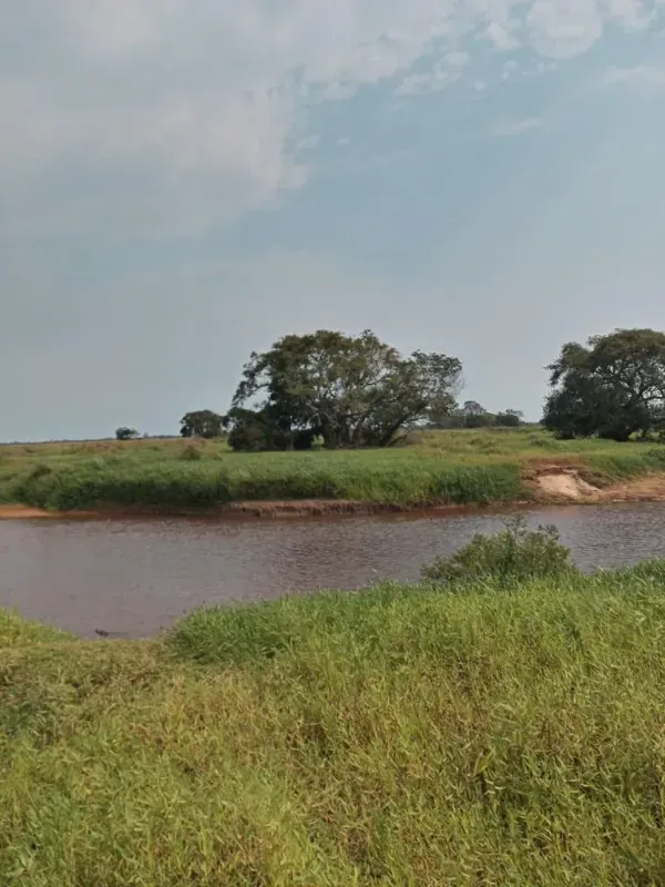 Fazenda em Corumbá/Mato Grosso do Sul — Ref IVVXZ1 — Imagem 6