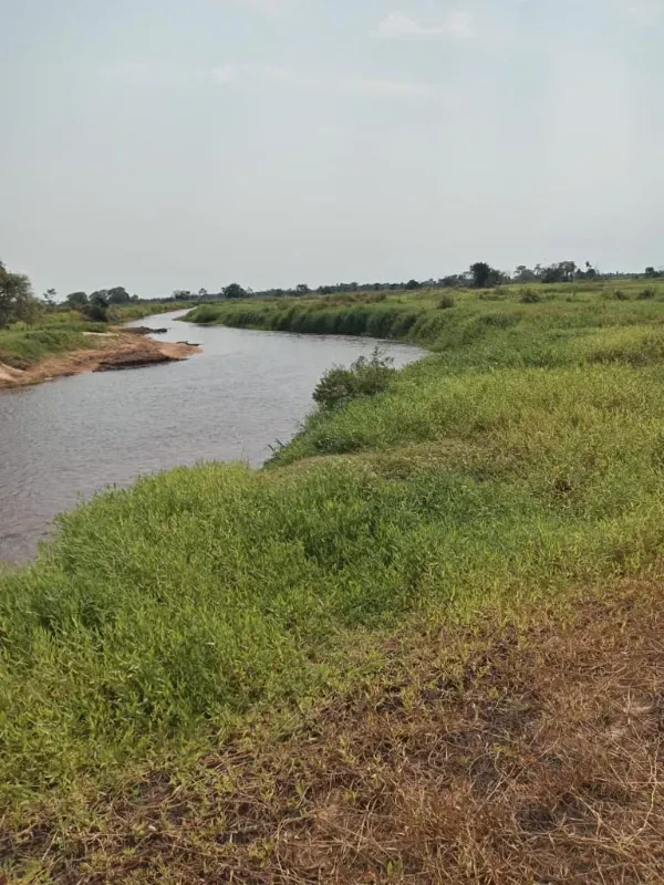 Fazenda em Corumbá/Mato Grosso do Sul — Ref IVVXZ1 — Imagem 5