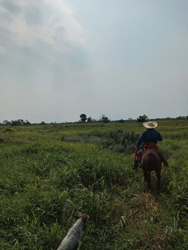 Fazenda em Corumbá/Mato Grosso do Sul — Ref IVVXZ1 — Imagem 10
