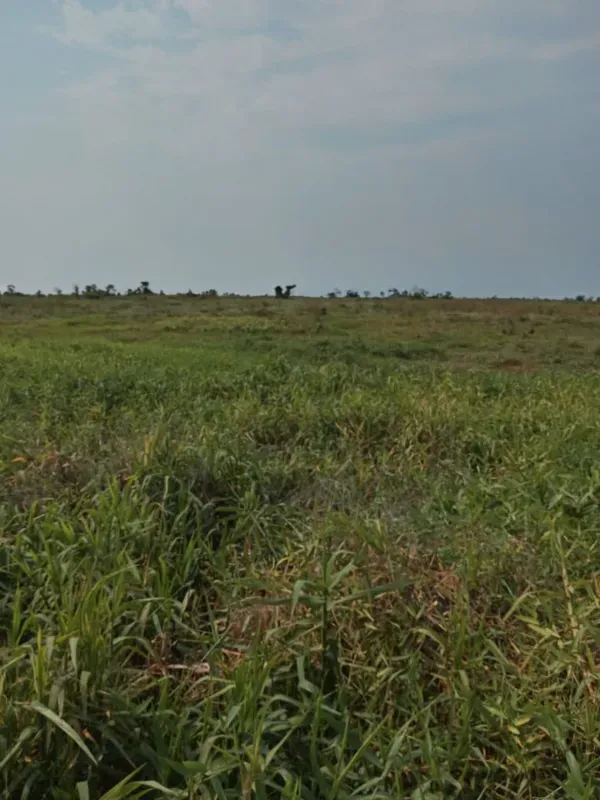 Fazenda em Corumbá/Mato Grosso do Sul — Ref IVVXZ1 — Imagem 11