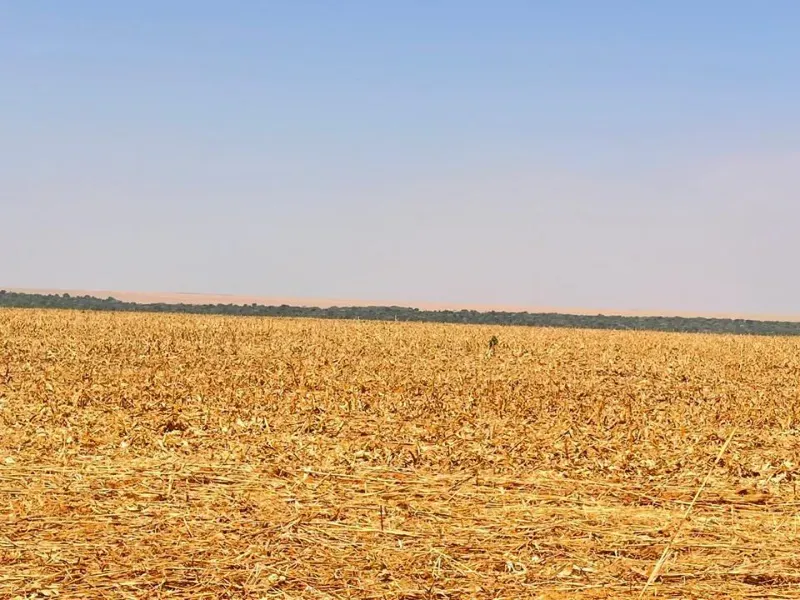 Fazenda em Sorriso/Mato Grosso — Ref A3S7UL — Imagem 3