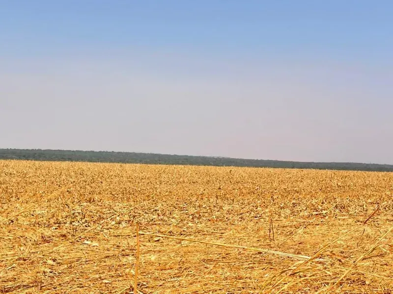 Fazenda em Sorriso/Mato Grosso — Ref A3S7UL — Imagem 4