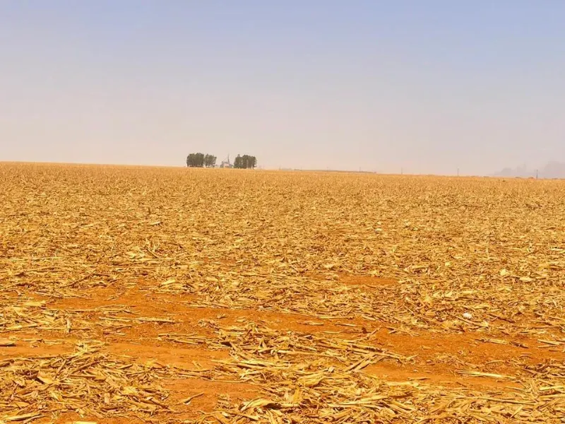 Fazenda em Sorriso/Mato Grosso — Ref A3S7UL — Imagem 5