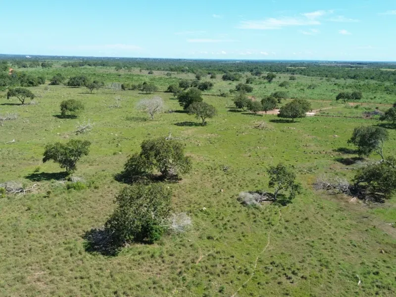 Fazenda em Couto Magalhães/Tocantins — Ref 4WFF45 — Imagem 3