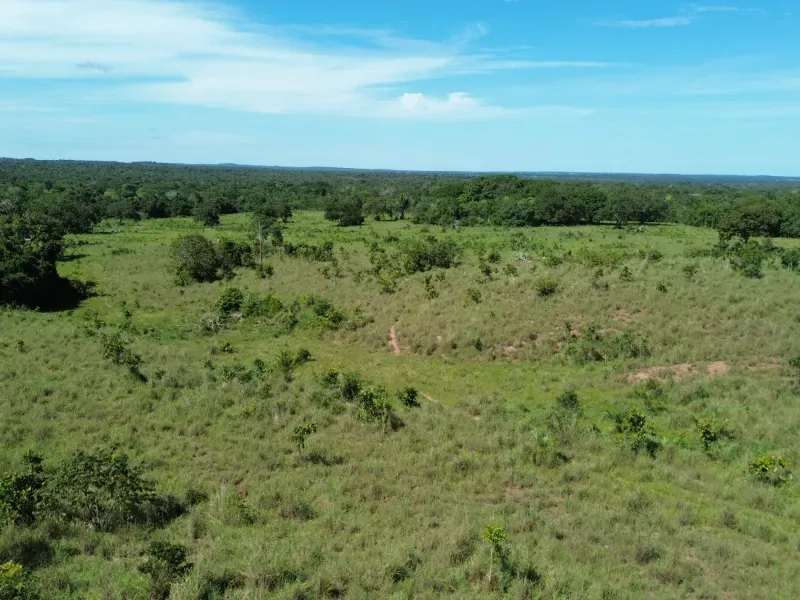 Fazenda em Couto Magalhães/Tocantins — Ref 4WFF45 — Imagem 4