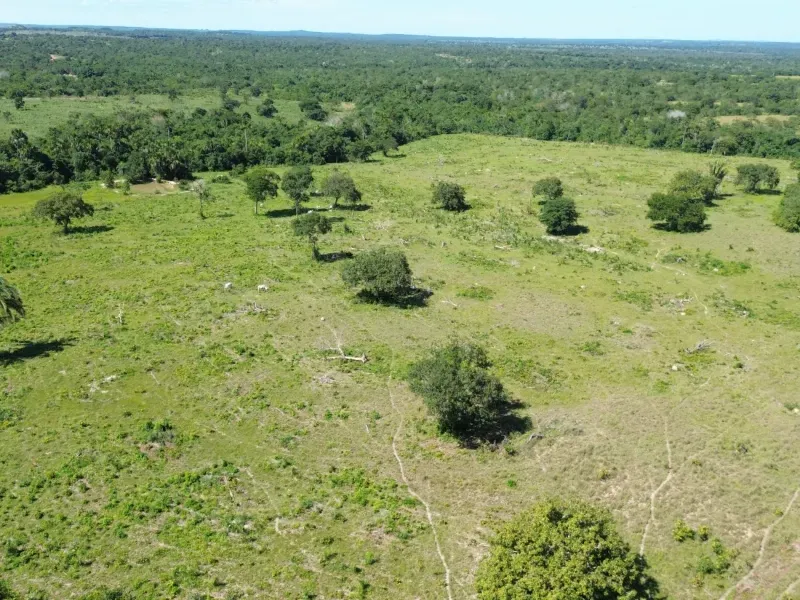 Fazenda em Couto Magalhães/Tocantins — Ref 4WFF45 — Imagem 5