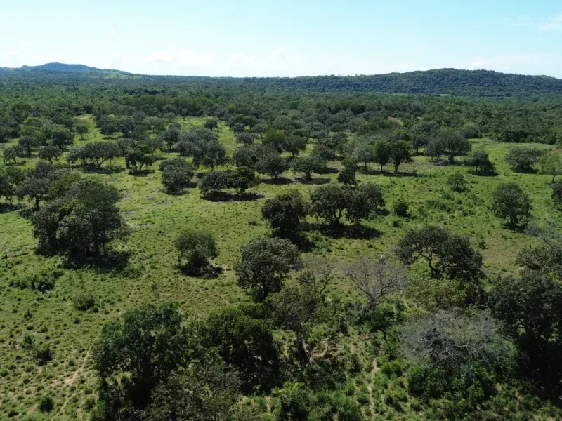 Fazenda em Couto Magalhães/Tocantins — Ref 4WFF45 — Imagem 6