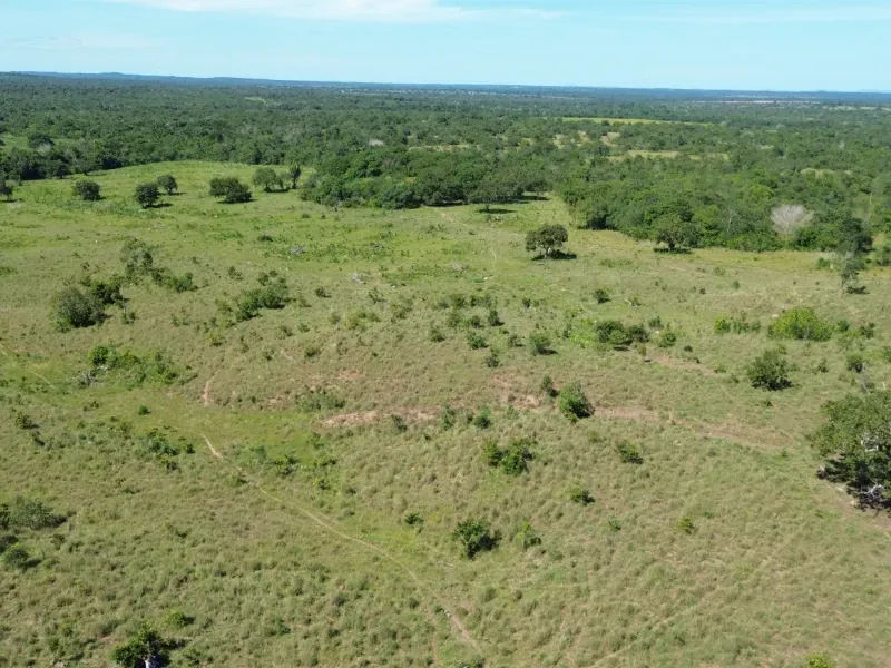 Fazenda em Couto Magalhães/Tocantins — Ref 4WFF45 — Imagem 8