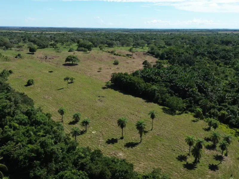 Fazenda em Couto Magalhães/Tocantins — Ref 4WFF45 — Imagem 9