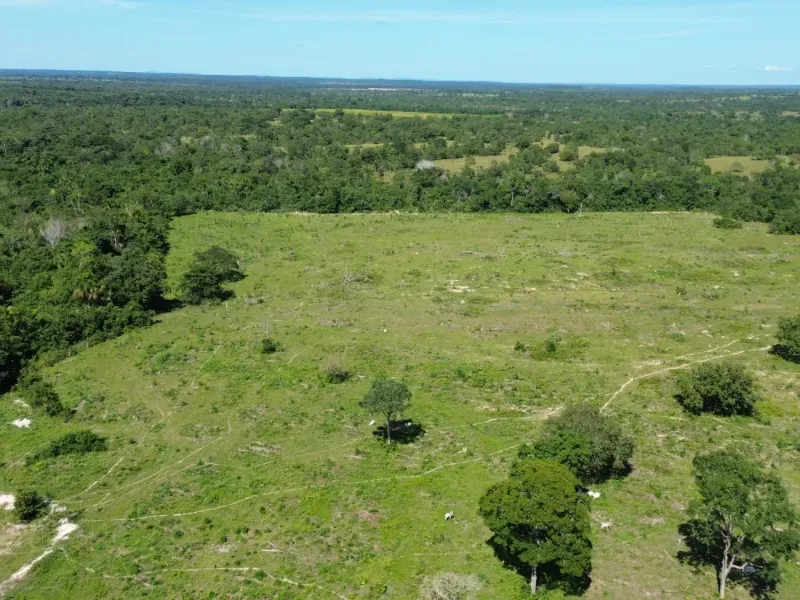 Fazenda em Couto Magalhães/Tocantins — Ref 4WFF45 — Imagem 10