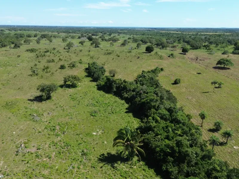 Fazenda em Couto Magalhães/Tocantins — Ref 4WFF45 — Imagem 11