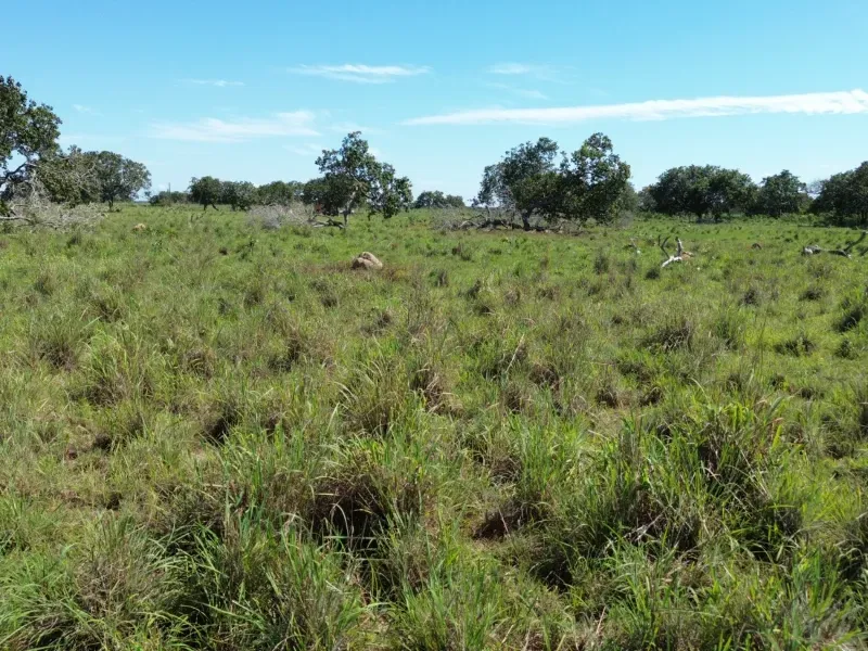Fazenda em Couto Magalhães/Tocantins — Ref 4WFF45 — Imagem 13