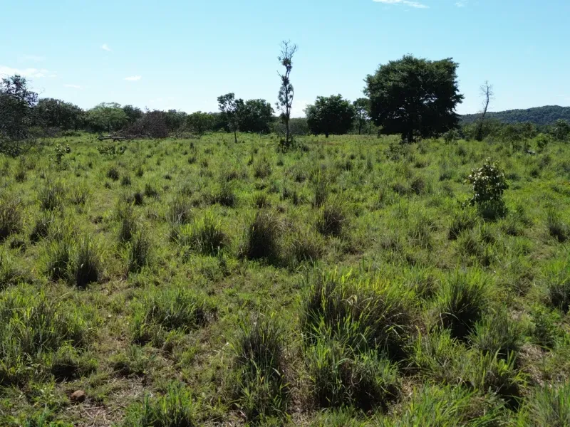 Fazenda em Couto Magalhães/Tocantins — Ref 4WFF45 — Imagem 14