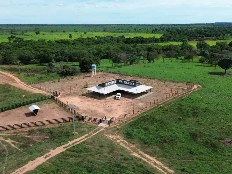 Imóvel rural em Corrente/Piauí — Ref NF3I3O1