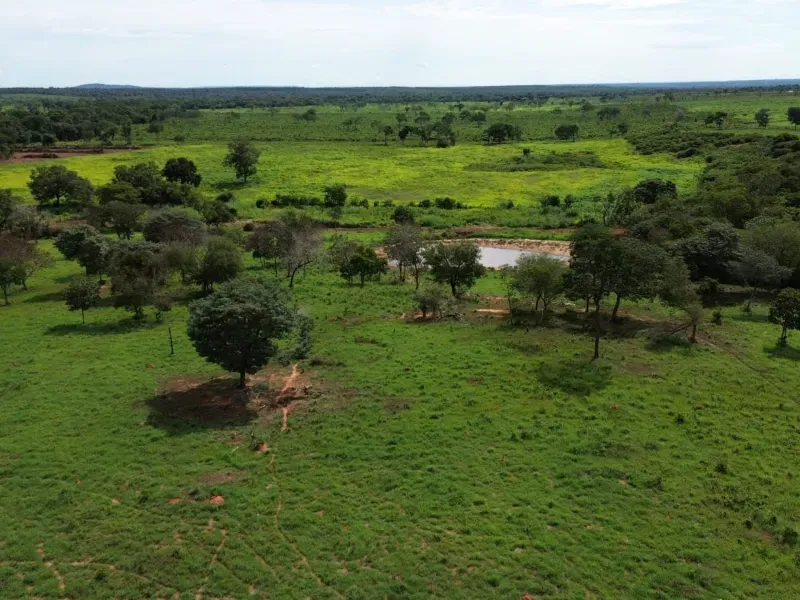 Fazenda em Corrente/Piauí — Ref NF3I3O — Imagem 2