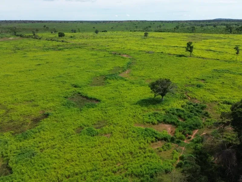 Fazenda em Corrente/Piauí — Ref NF3I3O — Imagem 3