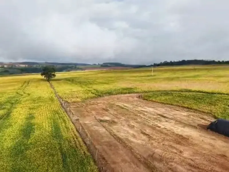 Fazenda em Orizona/Goiás — Ref 08M27C — Imagem 10