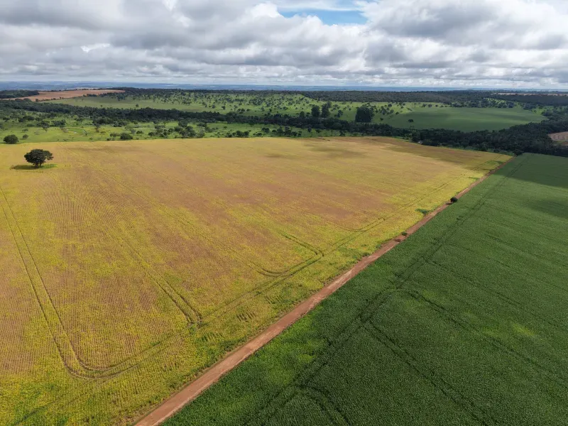 Fazenda em Orizona/Goiás — Ref 08M27C — Imagem 3