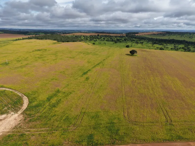 Fazenda em Orizona/Goiás — Ref 08M27C — Imagem 7