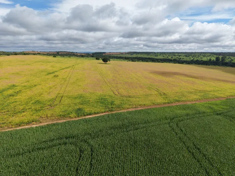 Fazenda em Orizona/Goiás — Ref 08M27C — Imagem 8