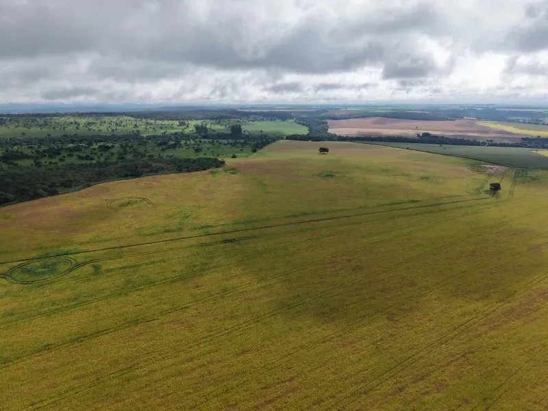 Fazenda em Orizona/Goiás — Ref 08M27C — Imagem 4