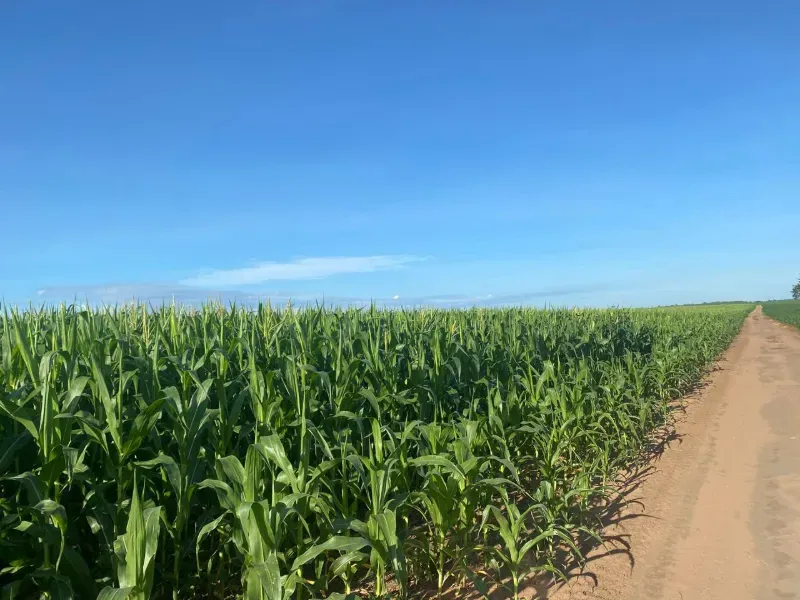 Fazenda em Guaraí/Tocantins — Ref QWAP32 — Imagem 7