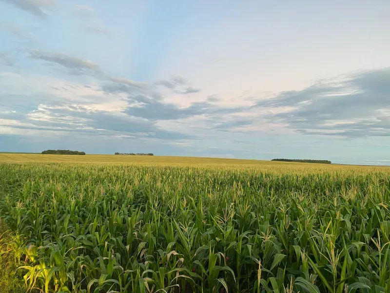 Imóvel rural em Guaraí/Tocantins — Ref QWAP321