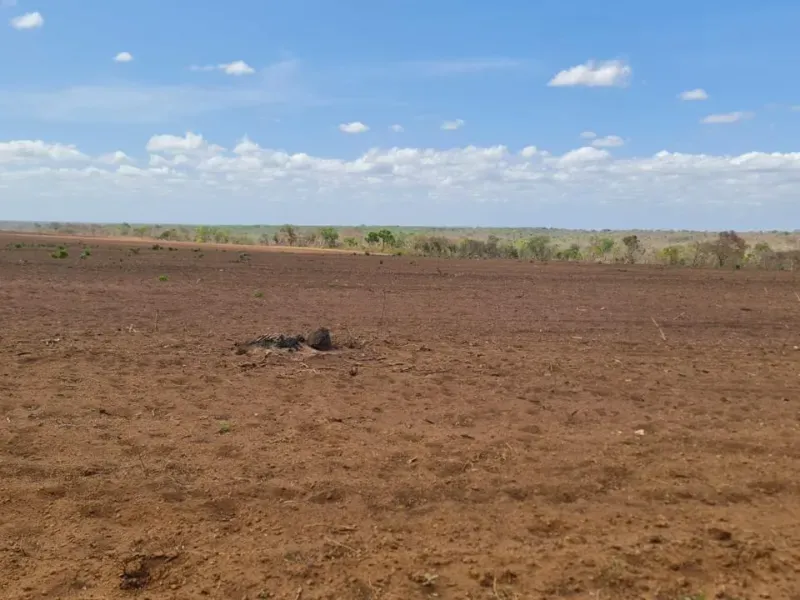 Fazenda em São Domingos do Azeitão/Maranhão — Ref 002XGC — Imagem 2