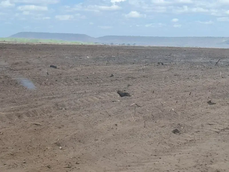 Fazenda em São Domingos do Azeitão/Maranhão — Ref 002XGC — Imagem 4