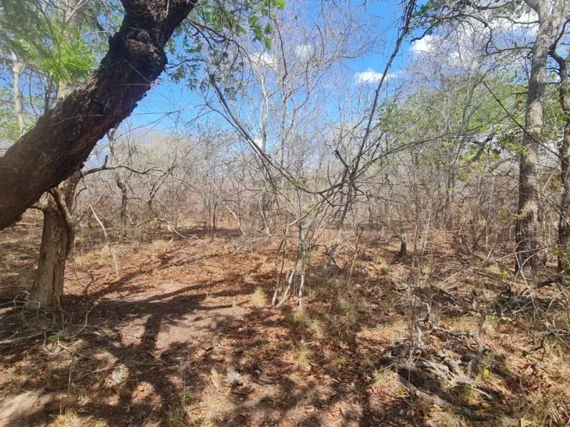 Fazenda em São Domingos do Azeitão/Maranhão — Ref 002XGC — Imagem 7