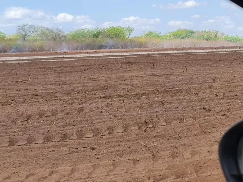 Fazenda em São Domingos do Azeitão/Maranhão — Ref 002XGC — Imagem 9
