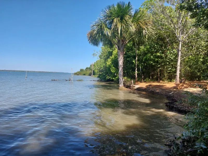 Chácara em Porto Nacional/Tocantins — Ref 8813EH — Imagem 5