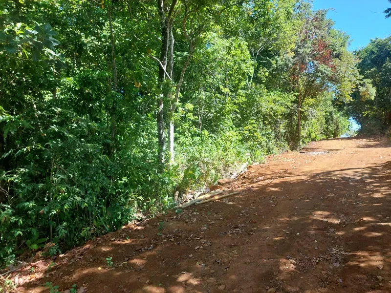 Chácara em Porto Nacional/Tocantins — Ref 8813EH — Imagem 8