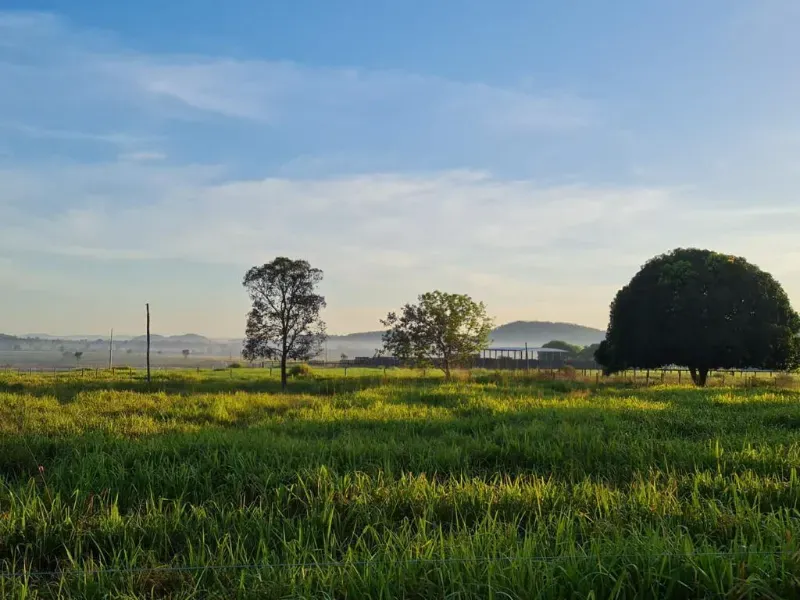 Fazenda em Confresa/Mato Grosso — Ref GTZC12 — Imagem 8