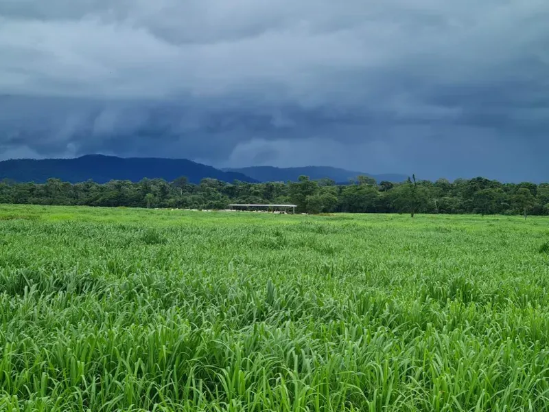 Fazenda em Confresa/Mato Grosso — Ref GTZC12 — Imagem 11
