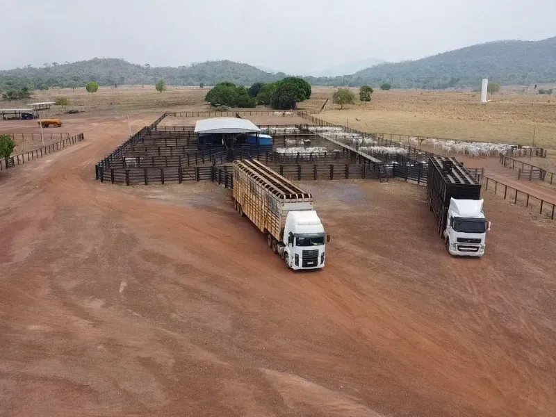 Fazenda em Confresa/Mato Grosso — Ref GTZC12 — Imagem 2