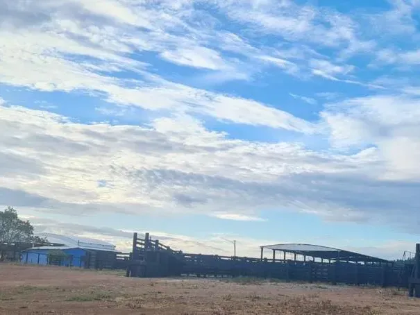 Fazenda em Confresa/Mato Grosso — Ref GTZC12 — Imagem 3