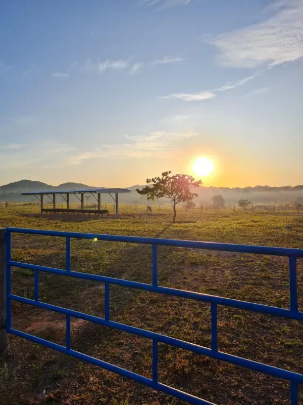 Fazenda em Confresa/Mato Grosso — Ref GTZC12 — Imagem 6