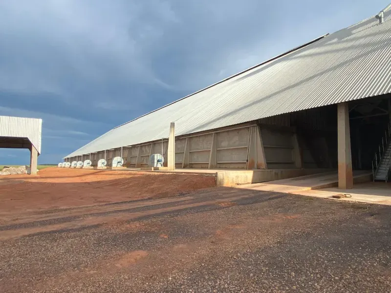 Fazenda em Querência/Mato Grosso — Ref 77QMS2 — Imagem 2