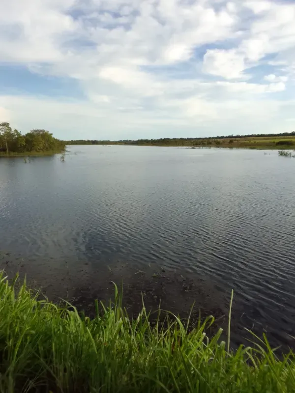 Fazenda em Porto Alegre do Tocantins/Tocantins — Ref IRWYLH — Imagem 6