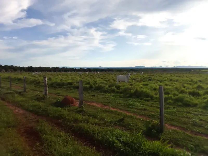 Fazenda em Porto Alegre do Tocantins/Tocantins — Ref IRWYLH — Imagem 2