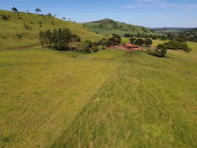 Fazenda em Cajuru/São Paulo — Ref C12VRO — Imagem 5
