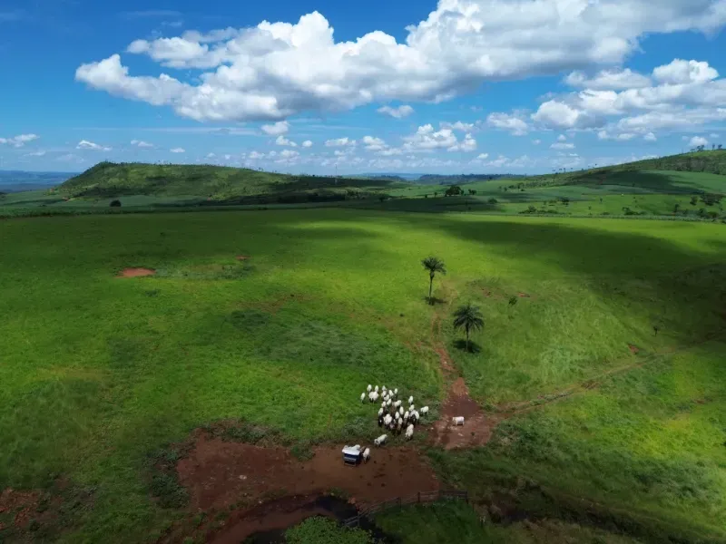 Fazenda em Cajuru/São Paulo — Ref C12VRO — Imagem 6